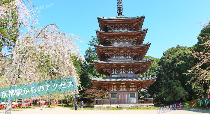 醍醐寺の五重塔