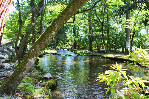 上賀茂神社の境内に流れる小川