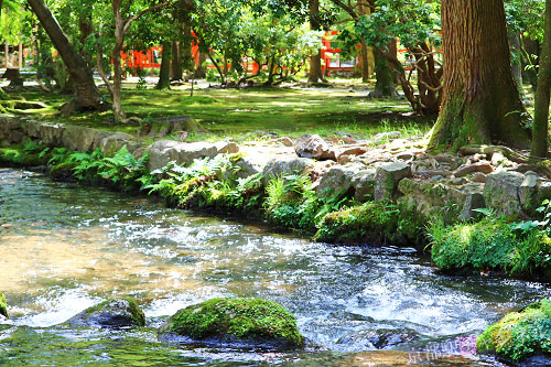 上賀茂神社の境内に流れる小川