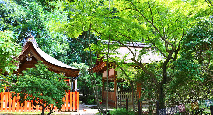 上賀茂神社の境内
