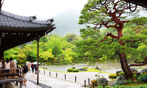 天龍寺の曹源池庭園