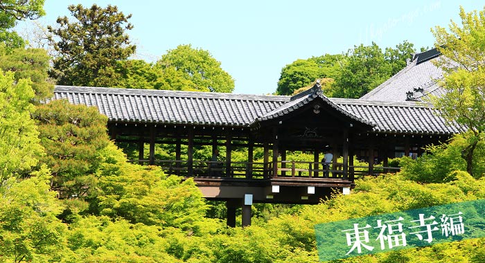東福寺の通天橋と青モミジ
