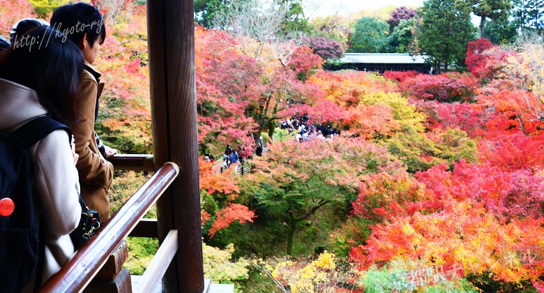 東福寺の通天橋から見る紅葉