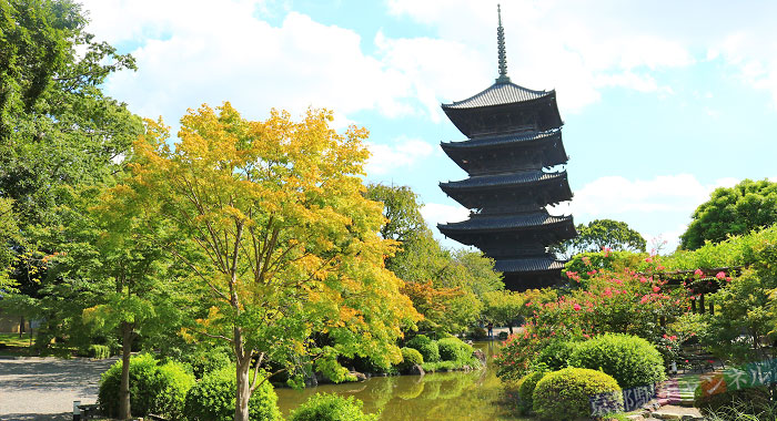 東寺の池泉回遊式庭園